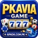PKAVIA Game