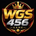 WGS456 Game